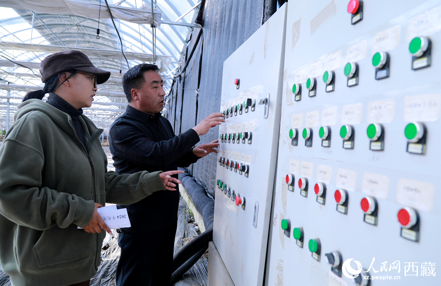 技術(shù)人員正在調(diào)整溫室智能環(huán)境調(diào)控系統(tǒng)。人民網(wǎng)記者 吳雨仁攝