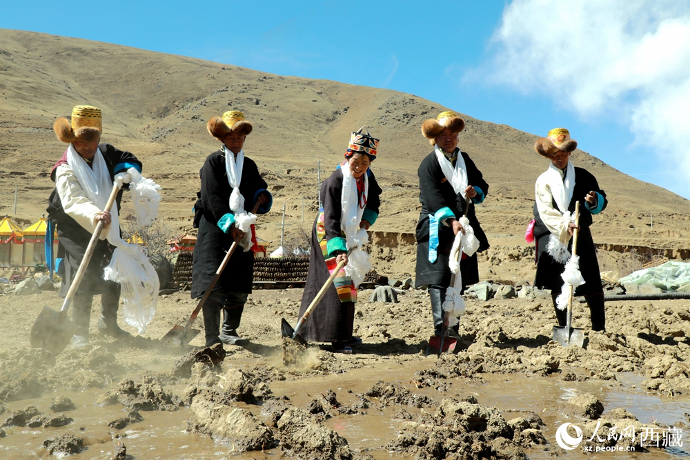身著傳統(tǒng)服飾的拉東村村民手持鐵鍬疏通水道、引水灌溉，渠水奔涌入田，開啟春耕生產(chǎn)。人民網(wǎng)記者 吳雨仁攝