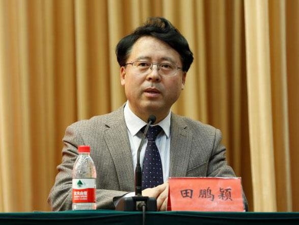 田鵬穎：投入其中、樂在其中、安身其中