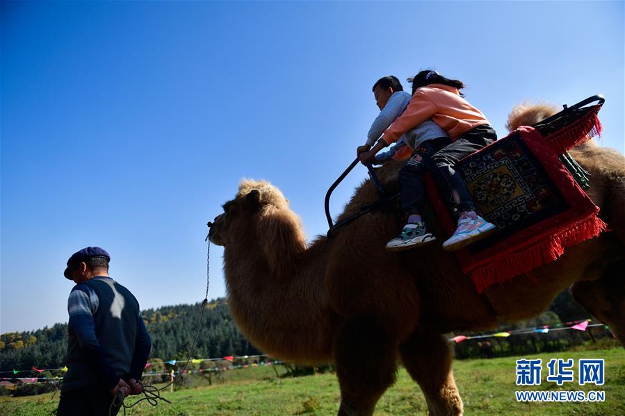（全面建成小康社會“百城千縣萬村調(diào)研行”·圖文互動）（7）青?？柎澹骸肮夤鞔濉钡娜A麗轉(zhuǎn)身