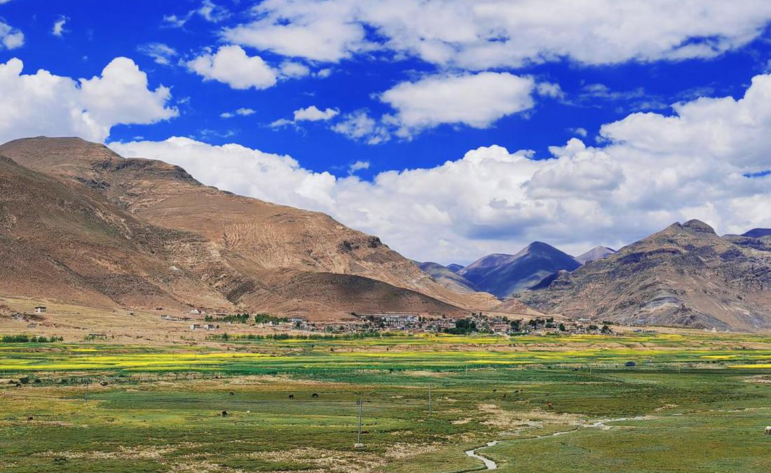 羌塘草原上的美好圖景。人民網(wǎng) 李海霞攝