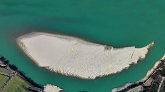 看！雅魯藏布江上有這樣一條“沙魚”