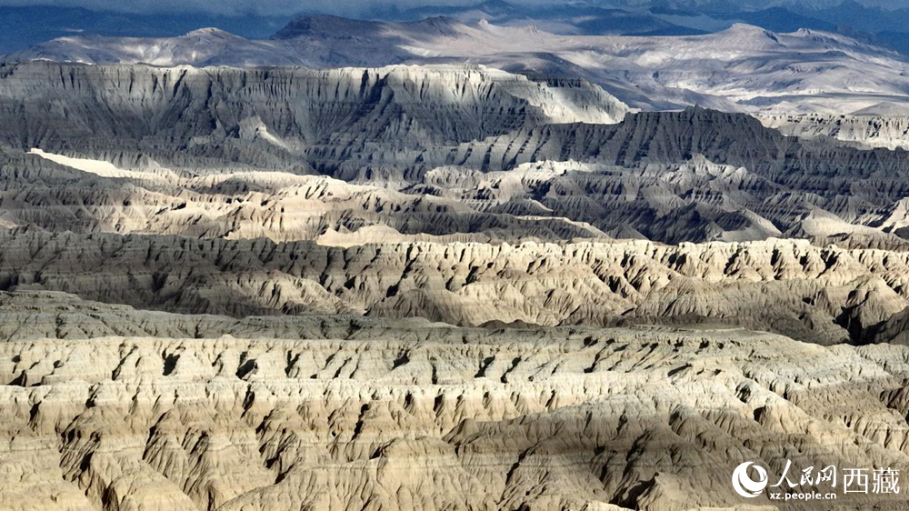 西藏阿里地區(qū)札達(dá)土林國(guó)家地質(zhì)公園。人民網(wǎng)記者 次仁羅布攝