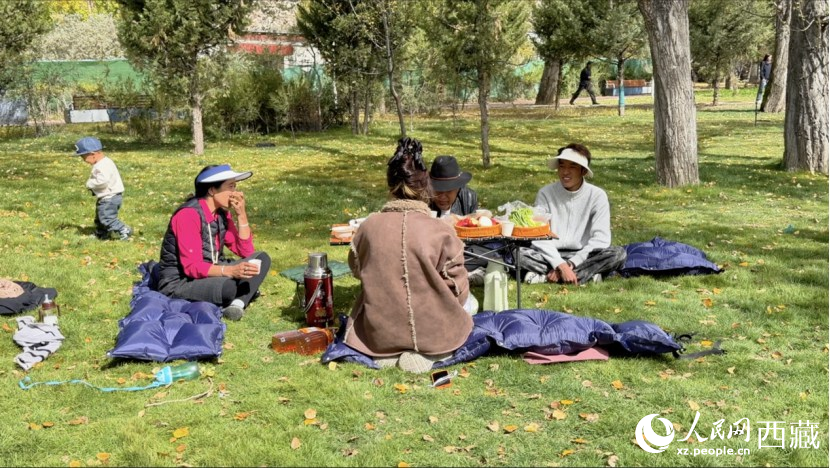 圖為市民在公園內(nèi)聚會。人民網(wǎng)記者 次仁羅布攝