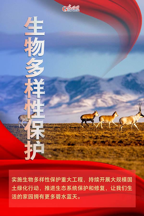 海報| 2021年政府工作報告，提到這些生態(tài)環(huán)保關(guān)鍵詞