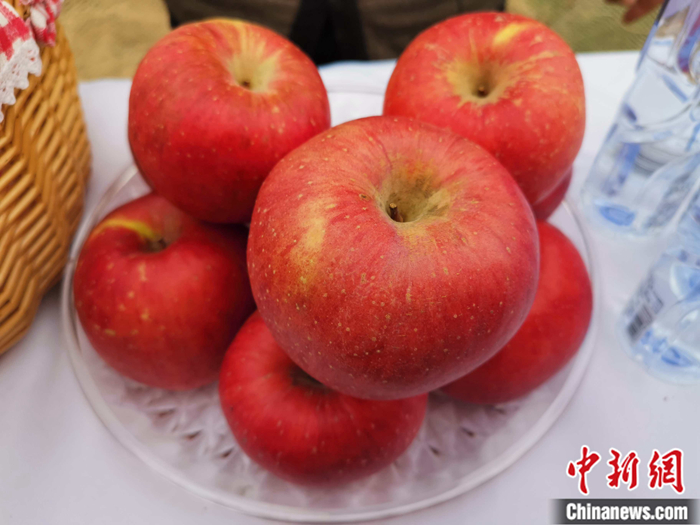 延安蘋(píng)果。<a target='_blank'  ><p  align=