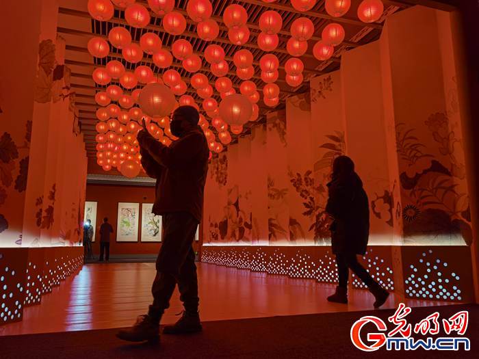 【新春走基層】視頻丨虎年看虎展！來國(guó)博感受虎文化