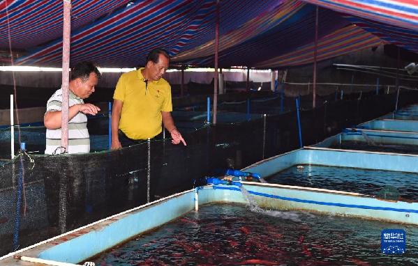 有聲手賬丨【我是一線黨代表 】王書茂：保護好“祖宗?！笔沁@輩子最大的心愿