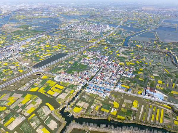 春天里的水鄉(xiāng)興化。周社根攝