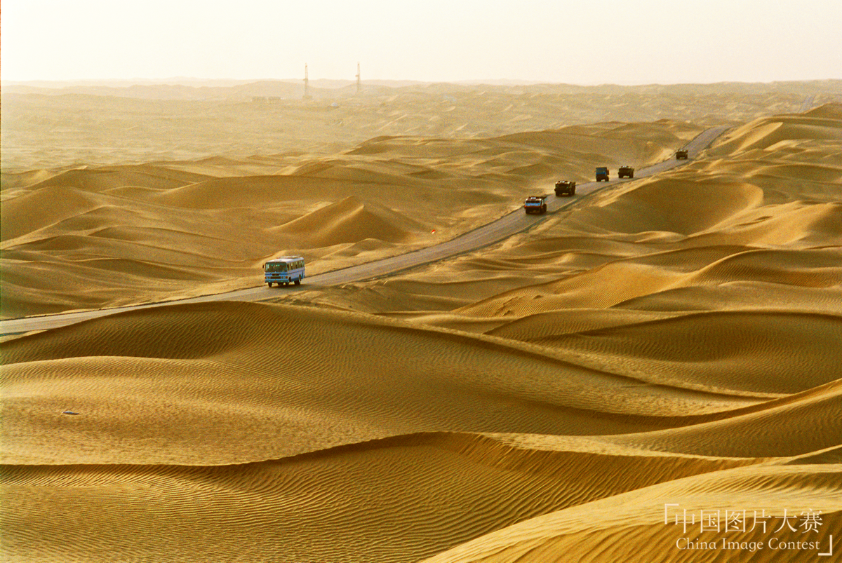 綠化大漠不是夢